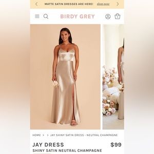 Birdy grey NEUTRAL CHAMPAGNE jay dress in XS.